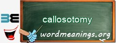 WordMeaning blackboard for callosotomy